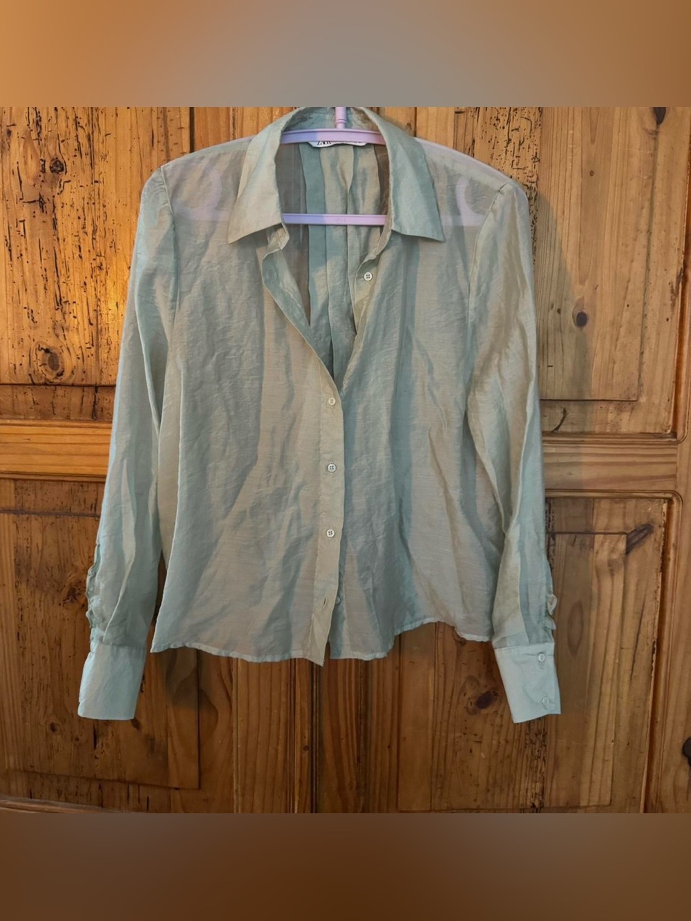 Zara Sheer Pale Mint Button-Down Shirt